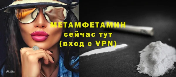 прущие грибы Сафоново