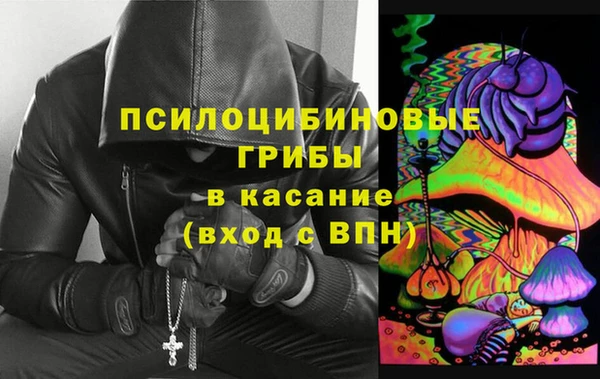 дживик Баксан